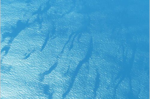 Abstract view of sparkling blue water